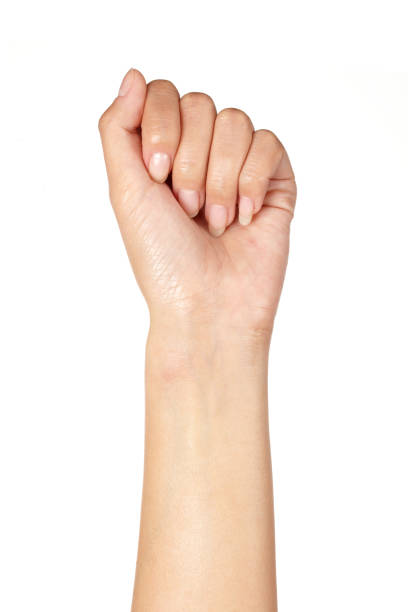 istock a moist, slender hand with a fist. 1221193466