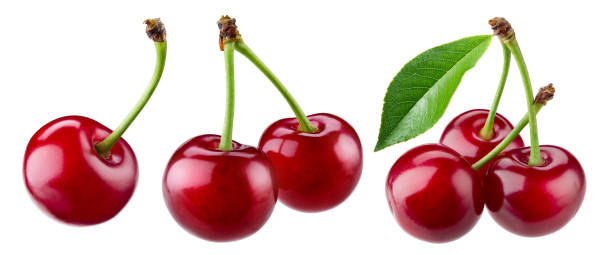 istock Cherry isolated. Sour cherry. Cherries with leaves on white background. Sour cherries on white. Cherry set. 1221196149