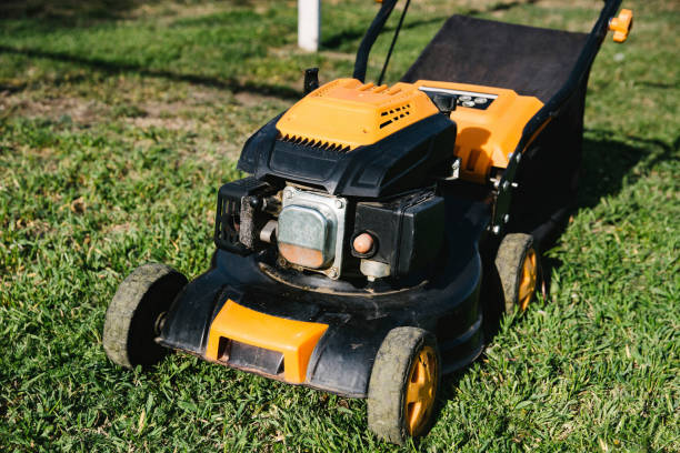 istock Lawn Mower, Gardening, Mowing. 1221196884