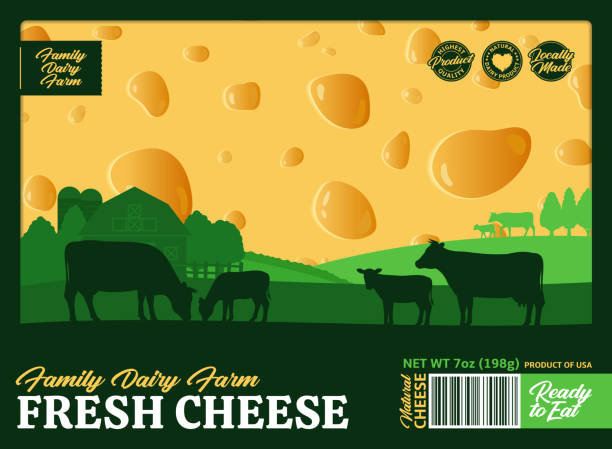 소, 송아지 및 유제품 농장이있는 치즈 포장 디자인 템플릿 - cheese backgrounds textured emmental cheese stock illustrations