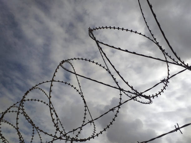 istock Barbed wire under twilight cloudy gray sky. Chain link fence. 1221198578