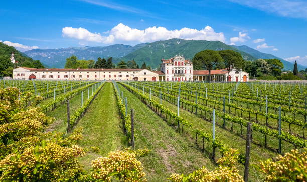 villa angarano-bianchi michiel - bassano del grappa - villa italian culture facade ornamental garden zdjęcia i obrazy z banku zdjęć