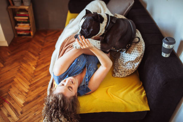 istock Woman playing with her dogs 1221202032