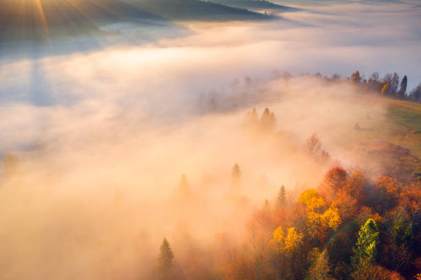 istock Vivid morning sunlight in valley 1221203342