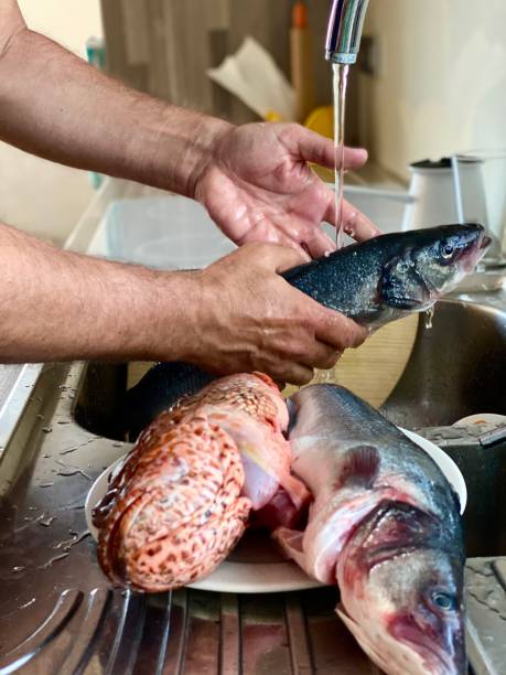 Man washing fishes before cooking Man washing fishes before cooking red scorpionfish photos stock pictures, royalty-free photos & images
