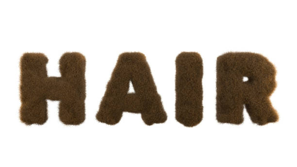 istock Uppercase fluffy and hair font 1221204758