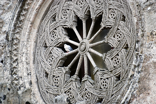 Round church window of Matrice church in Erice, Sicily (Italy), with bird sitting in the stone rose window