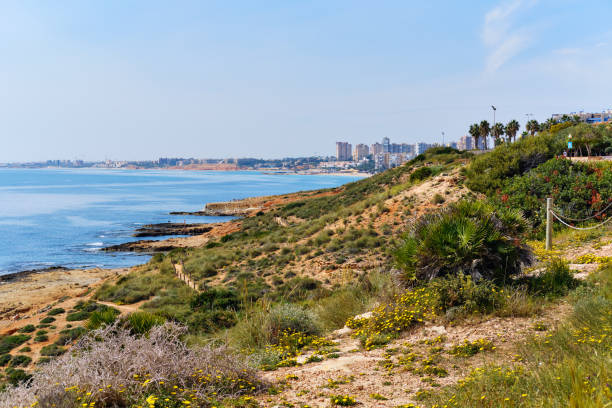 istock Dehesa de Campoamor,view from Cabo Roig beach. Spain 1221205865