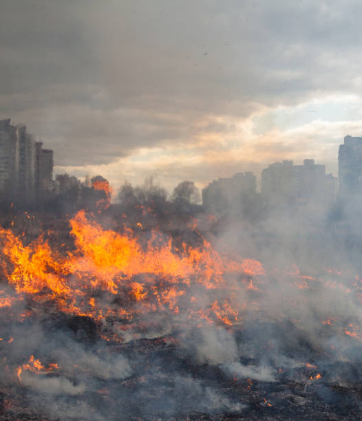 istock Fire in the field near the city 1221206384