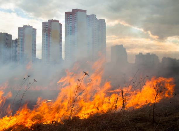 istock Fire in the field near the city 1221206385