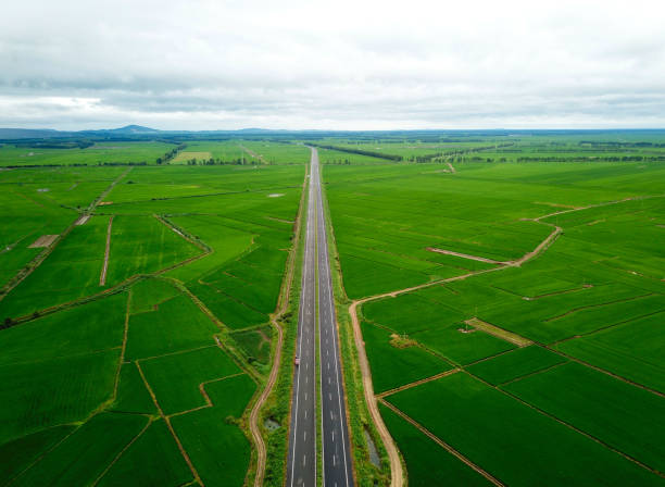 istock Panoramic view nature Landscape of a green field with rice 1221208554