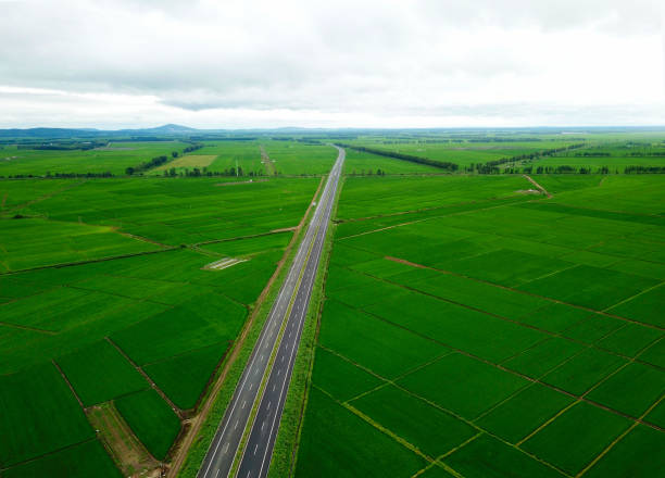 istock Panoramic view nature Landscape of a green field with rice 1221208594