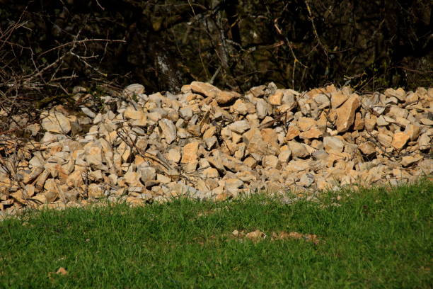 Piles of stones in a hedge