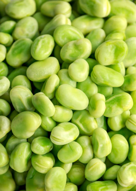 Freshly boiled, cooked green broad beans in a bowl ready to eat Freshly boiled, cooked green broad beans in a bowl ready to eat. fabes stock pictures, royalty-free photos & images