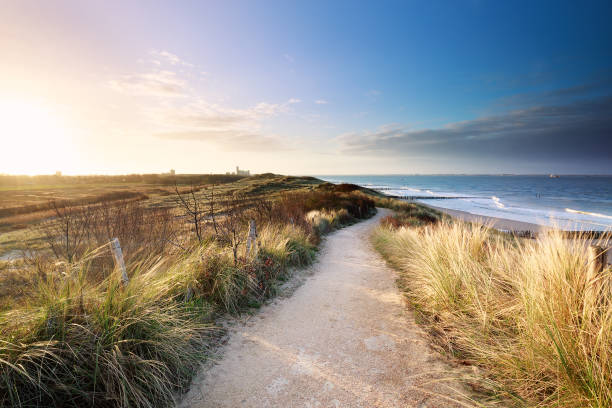 Wooden boardwalk over sand dunes at the coast of island Sylt, German North Sea Region