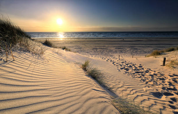 istock path on sand to sea beach at sundown 1221211585