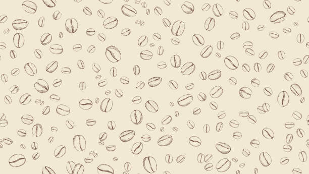 描かれたコーヒー豆のシームレスな背景。コーヒー豆の落ち込みパターン。フード落書きスケッチの背景 - falling beans点のイラスト素材／クリップアート素材／マンガ素材／アイコン素材