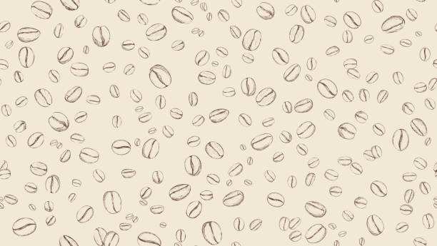 Drawn coffee bean seamless background. Pattern with falling coffee beans. Food doodle sketch backdrop Drawn coffee bean seamless pattern background. Pattern with falling coffee beans. Food doodle sketch background roasted coffee bean stock illustrations