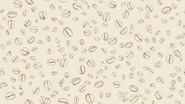 Vector illustration of Drawn coffee bean seamless  background. Pattern with falling coffee beans. Food doodle  sketch backdrop