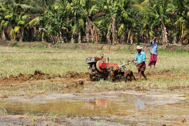 Kakkoor,Kerala, India - February 29,2012 : Farmers work in the paddy field using tiller tractor to plow the field before paddy cultivation in Kakkoor,Kerala, India.