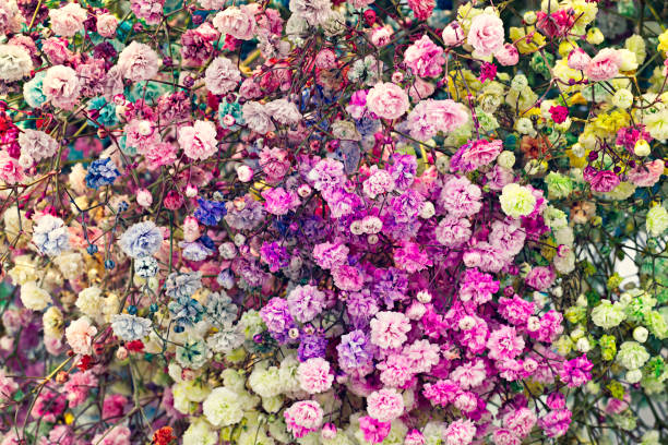 istock Selection of Various colorful Flowers as a background 1221218020