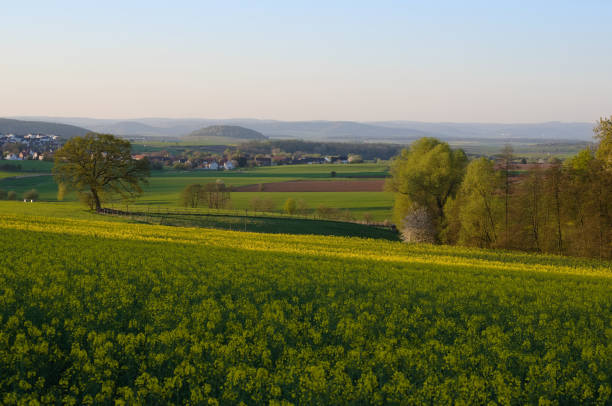 istock low mountain landscape with field of rape 1221218761