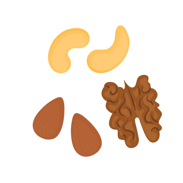 istock cashew, almond, walnut. Nuts icons vector illustration isolated on white background 1221220511