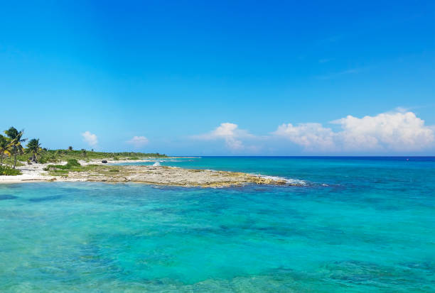 Beach on Coast of Roatan