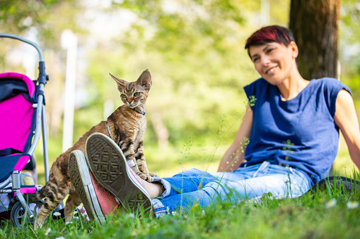Smiling Adult Woman and Her Devon Rex Cat Relaxing in Public Park.