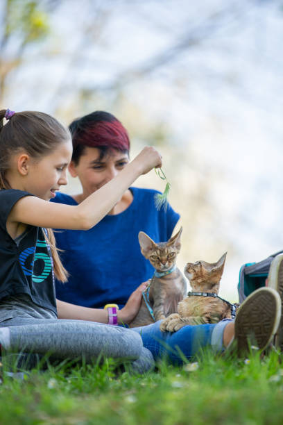 istock Mother and Daughter Playing With Devon Rex Kittens in Nature 1221222664