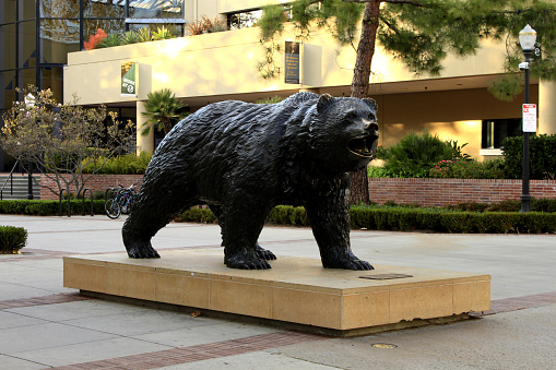 Los Angeles, United States - December 23, 2011: Joe Bruin: official mascot of UCLA - University of California, Los Angeles