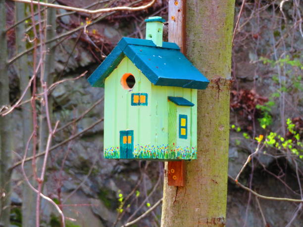 istock Birdhouses in the Woods 1221225874