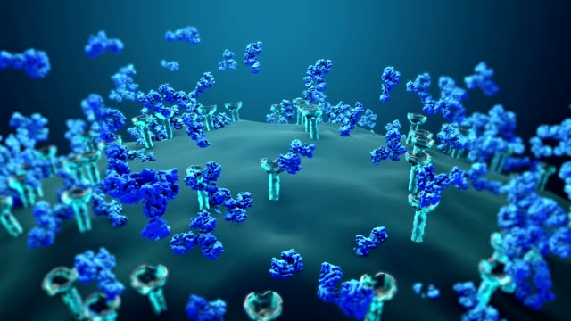 Antibodies block a virus from entering a body cell, Immune system defends the body against infections and diseases