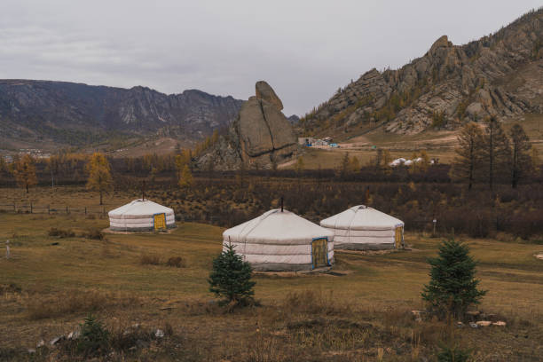 istock Nomadic  village in Gobi desert at sunset 1221227828
