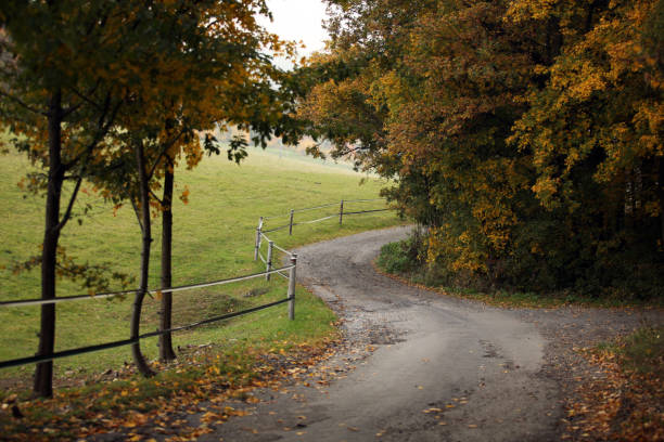 istock Country Road in Moravia 1221227913