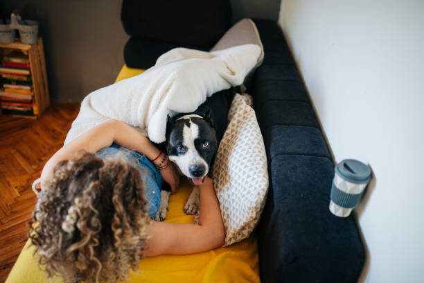 istock Woman playing with her dog on the bed 1221228854