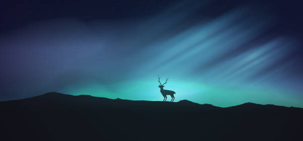 istock Night with aurora, northern lights exploration adventure with a stag 1221231820