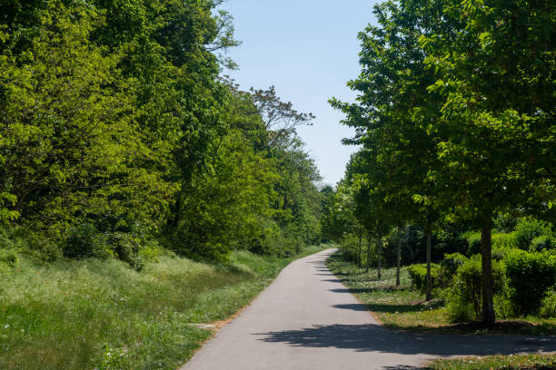 istock Narrow lane winding through lush green countryside 1221232090