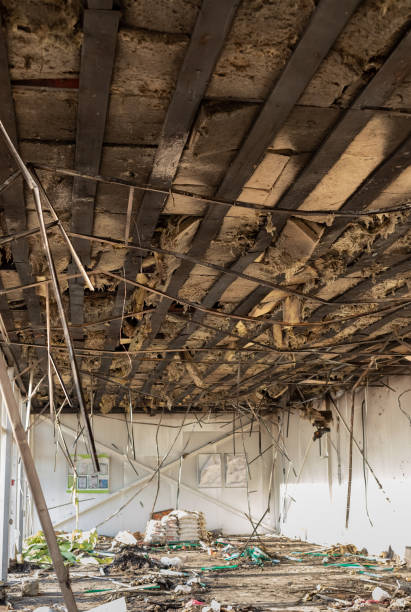 istock consequences of a fire accident in a supermarket. 1221233695