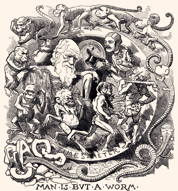 CHARLES DARWIN: THEORY OF EVOLUTION (XXXL) SATIRE : THEORY OF EVOLUTION OF CHARLES DARWIN allegory painting illustrations stock illustrations