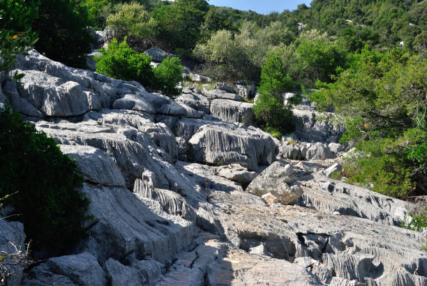 istock The path to cuile Sos Mojos 1221238114