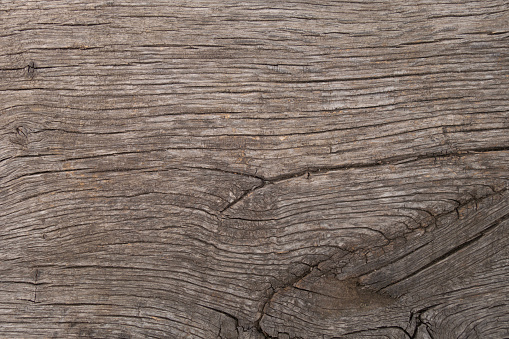 The texture of natural wood. Very old weathered pine surface. Creative vintage background