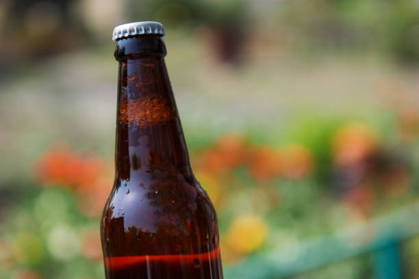Closed chilled beer bottle on summer background. Hot sunny day