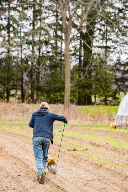 istock Seeding machine in use on a small scale organic farm. 1221240525