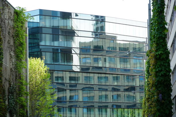 two modern buildings in perpendicular position, one consisting only of glass facade, in which another building of irregular shape reflects, giving the impression of densely built space. The scene is softened by ivy growing on a brick wall