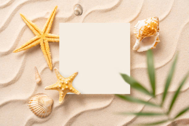 istock summer beach frame background, Sand shells Seastar with blurred Palm, vacation and travel concept, Flat lay top view copy space, minimal exotic concept 1221241065