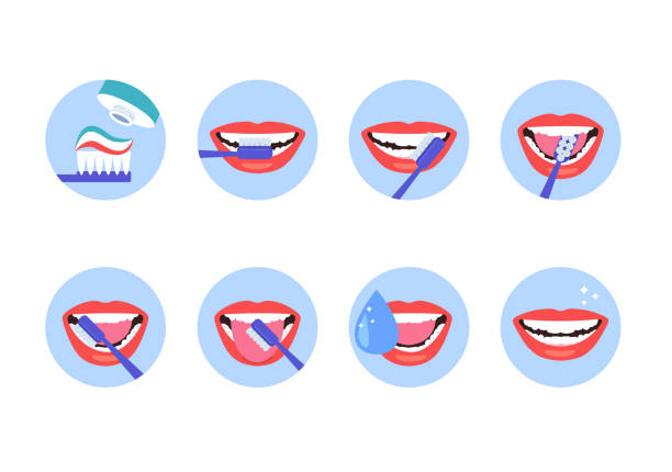чистая чистка зубов гигиены шаги инструкции изолированный набор. вектор плоский мультфильм графический дизайн иллюстрации - brushing teeth stock illustrations