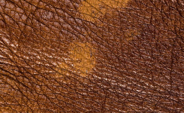 istock Old vintage genuine soft brown leather texture background, top layer with pores and scratches, macro, close-up 1221243451