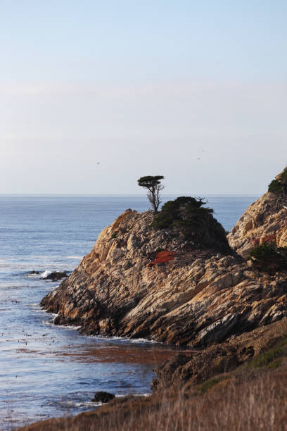 The Reserve Point Lobos Rocky Pacific coast in the Reserve Point Lobos. Picturesque red patches of moss on the rocks point lobos state reserve stock pictures, royalty-free photos & images