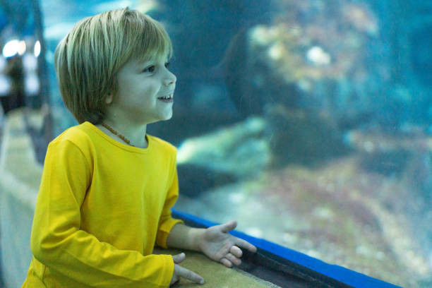 istock A little boy in an aquarium. 1221245072